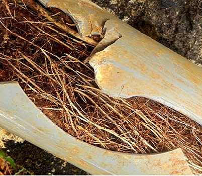Blocked Drains Coburg