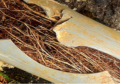 Blocked Drain Plumbers Melbourne